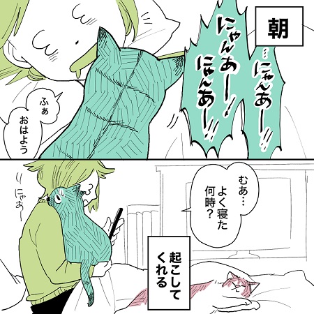 こねこのドレイ