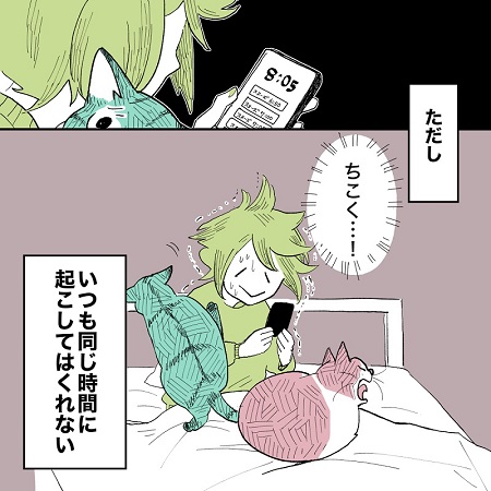 こねこのドレイ