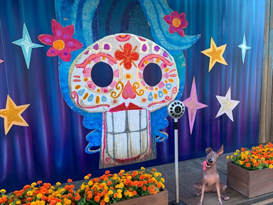 フォトスポット リメンバー・ミー