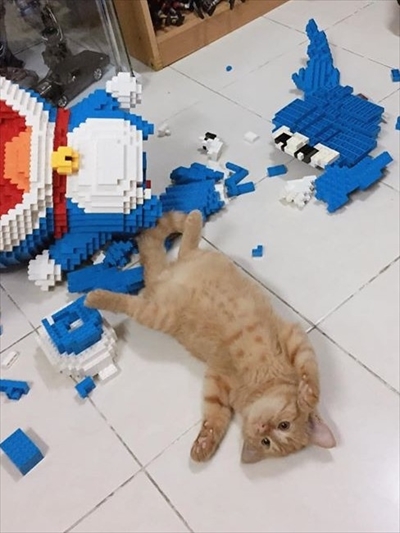 猫に壊されたドラえもん