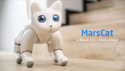 猫型ロボットさま 高齢者の心を癒やす「ネコ型ロボット」が販売されていた！