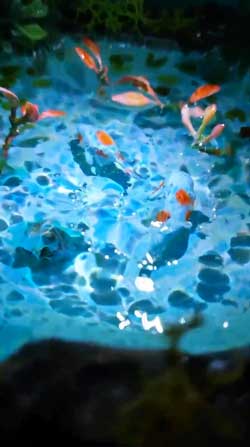 ジオラマ ひょうたん モネの池 ランプ 作品 アート すみじろう