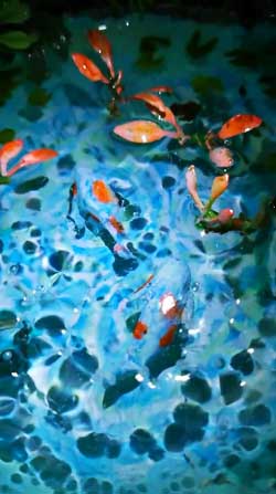 ジオラマ ひょうたん モネの池 ランプ 作品 アート すみじろう