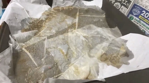 ホットプレート