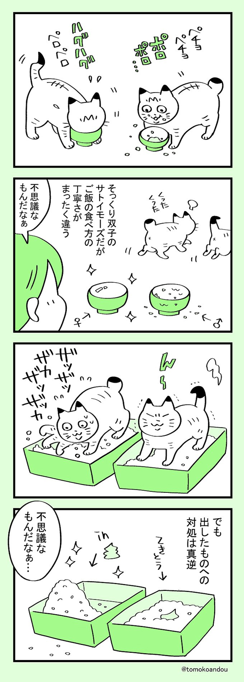 サトイモーズの個性