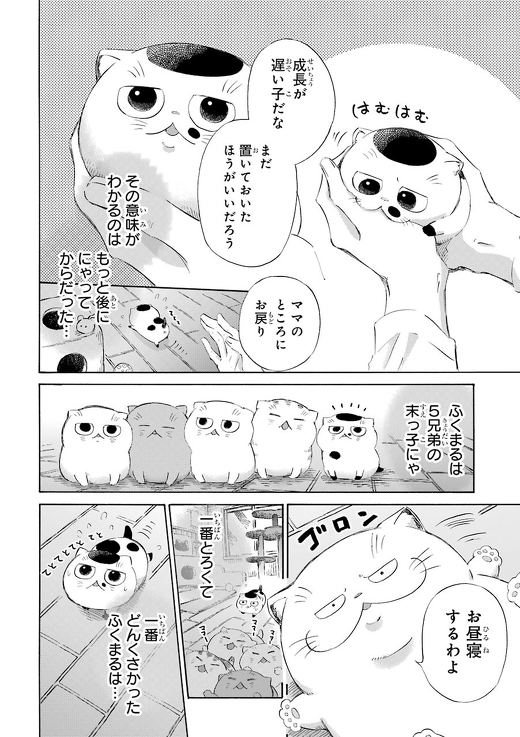 漫画 おじさまと猫 桜井海