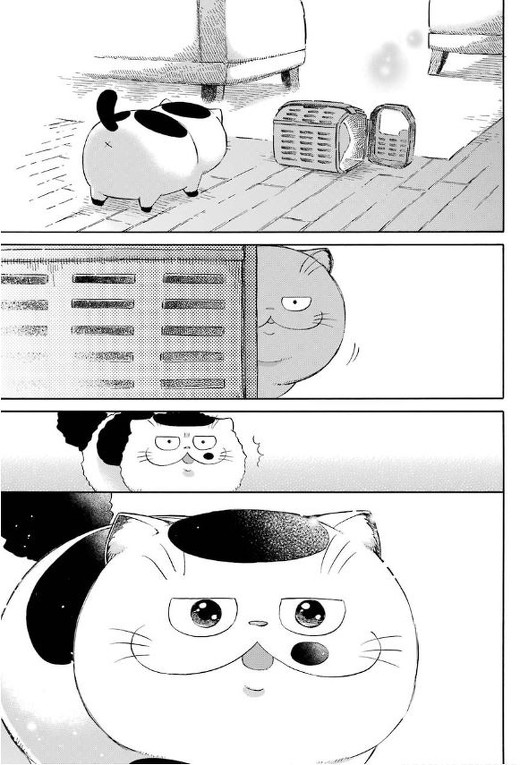 漫画 おじさまと猫 桜井海 ふくまる おじさま 第4巻 100万部