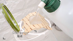 海水
