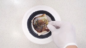焼成器具に貝殻をセット