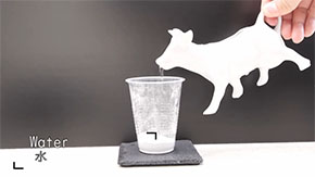 生石灰に水を入れるところ