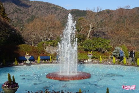 箱根 エヴァ コラボ