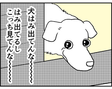 カマタミワさん