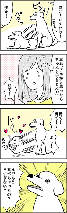 カマタミワさん