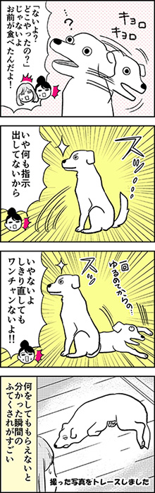 カマタミワさん