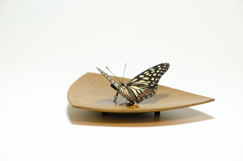 福田亨さん作品