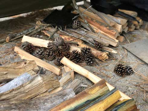 まつぼっくり 持ってくる 猫 キャンプ ソロキャン たき火 交流