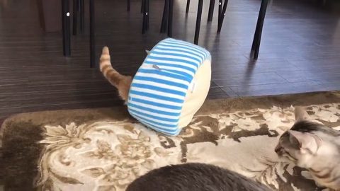 チロルくん 猫ベッド 猫カフェ&ギャラリーGATO