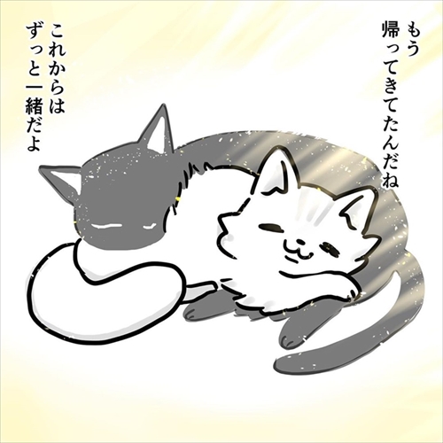 ゴマちゃん漫画