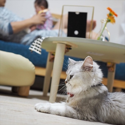 ゴマちゃん漫画