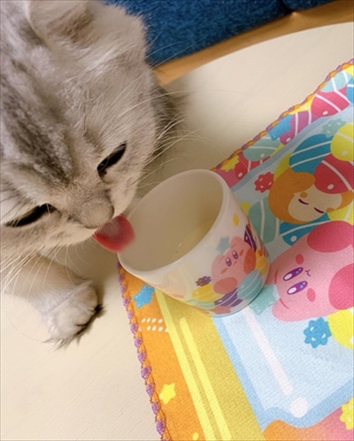 ゴマちゃん漫画