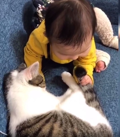 ゴマちゃん漫画