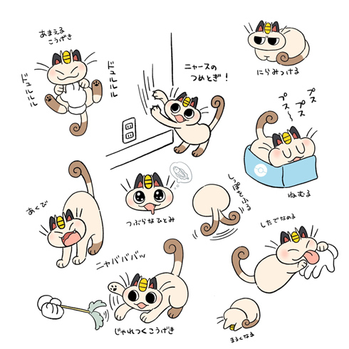 ポケモンと生活