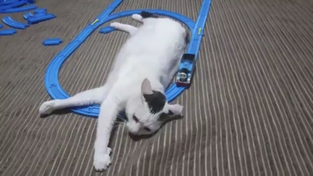 さらに接近するトーマス