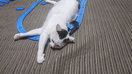 ぶつかるトーマス