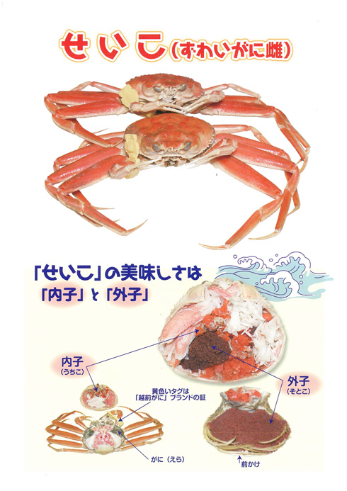 セイコガニのおいしさは内子と外子