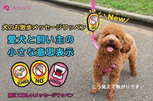 犬のお散歩メッセージワッペン