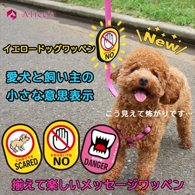 犬のお散歩メッセージワッペン