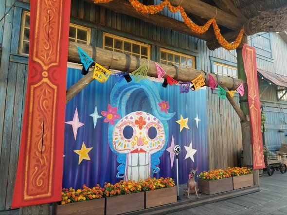 ピクサーエンタメ