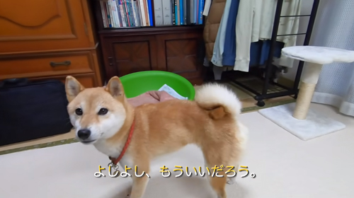 もういいだろうヤトちゃん