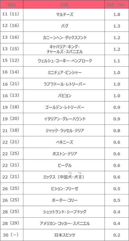 人気のペットランキング