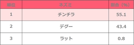 人気のペットランキング