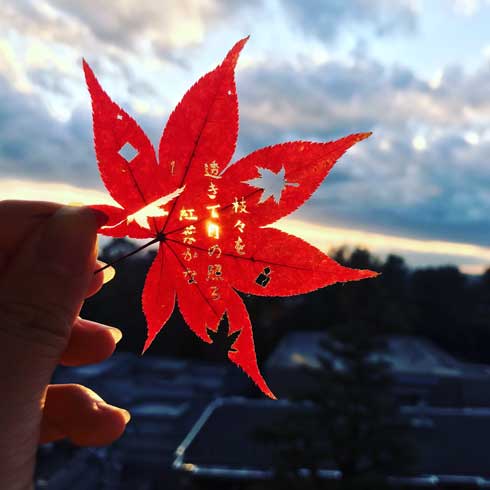 紅葉 葉っぱ 和歌 切り絵 作品 学生 修学旅行 秋 久保田万太郎 俳句 文字 金平糖