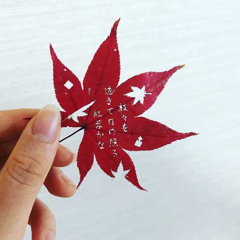 紅葉 葉っぱ 和歌 切り絵 作品 学生 修学旅行 秋 久保田万太郎 俳句 文字 金平糖