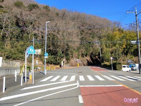 左側が県道515号だが、それを示すものはなにもない