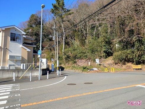 この道が県道だと、誰が思うだろうか……