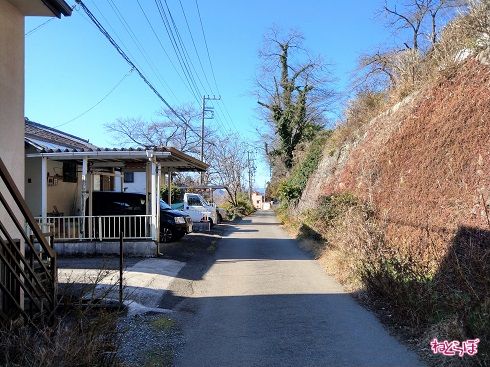 筆者は10回切り返しても車庫入れできなさそうです