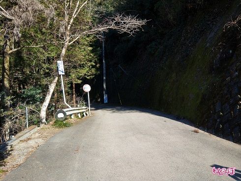 一瞬広くなるが、すぐに狭まる道路幅