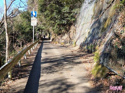 退避所とは言え、1.5車線幅しかありません