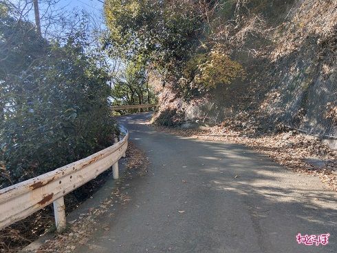 完全1車線の道を高度を上げて進む