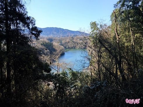 津久井湖が所々見えます。深い青色がきれい