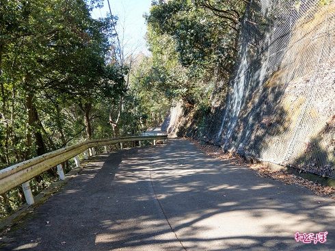 最狭箇所がこのカーブ。ガードレールには無数の擦り跡が