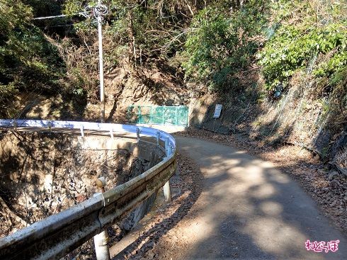 ガードレールの支柱も2本新しくなっている。大規模な崩落だったことが想像できる