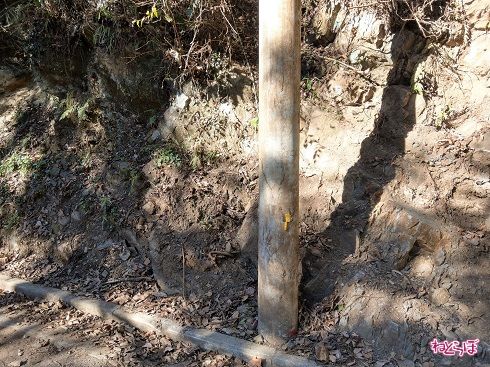 電信柱も埋もれていたようです