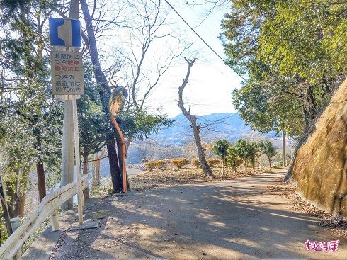 「山」から「町」に戻ってきました
