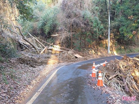 1車線道路の路肩には頼りないカラーコーン。細心のハンドルさばきが要求されます