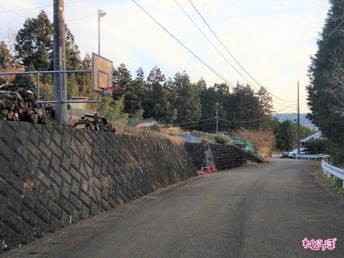 ゲートの先にはバスケットゴール。奥には民家が見えます